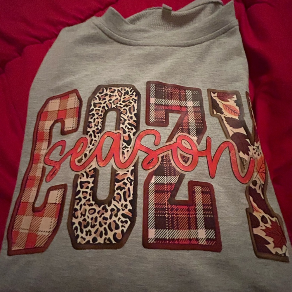 Stylish Gray Cozy Season Sweatshirt